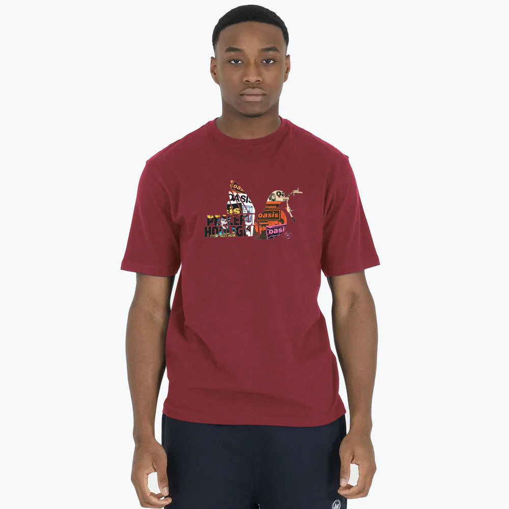 Poster Dove T Shirt Dark Red