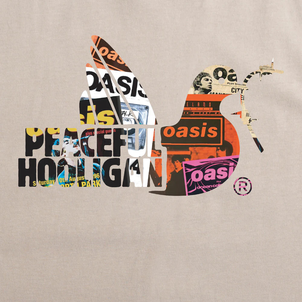 Poster Dove T Shirt Stone
