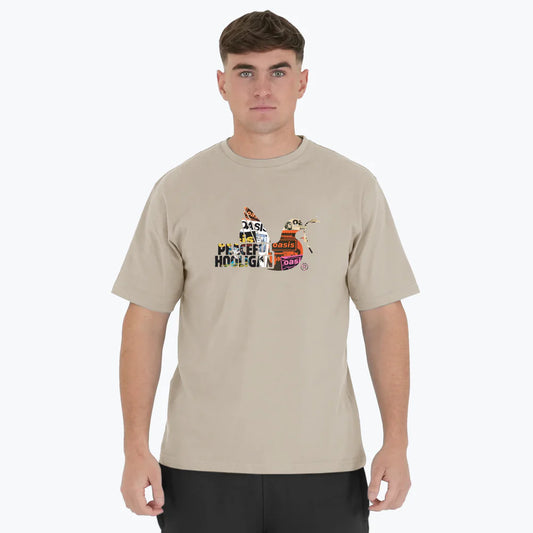 Poster Dove T Shirt Stone